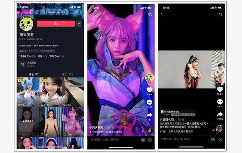 爆料小视频全集,真相与内幕大曝光